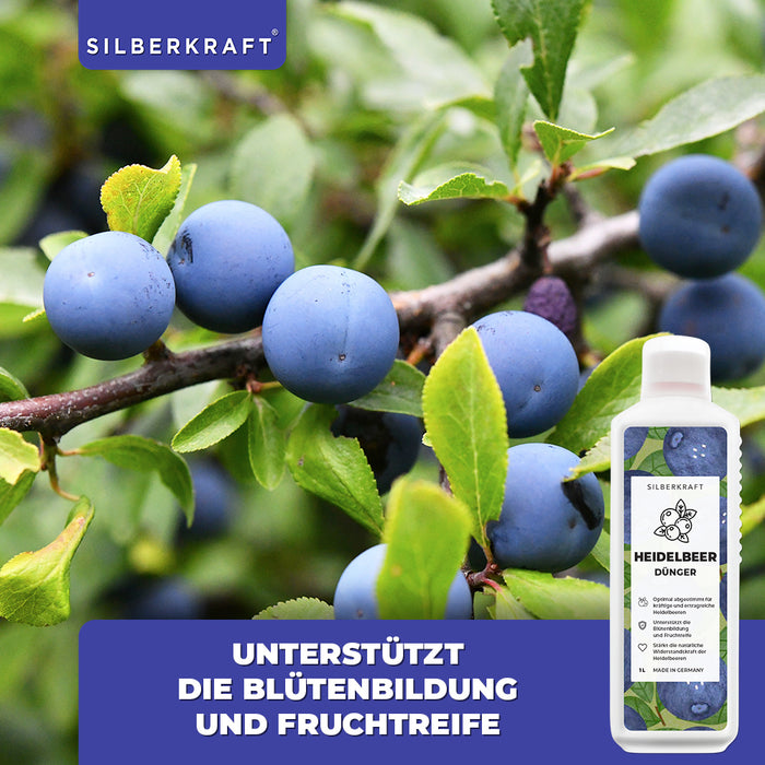 Heidelbeer Dünger - Mineralischer NPK Flüssigdünger mit Stickstoff - Dünger für Heidelbeeren - Blaubeer Dünger - Beerendünger - Silberkraft