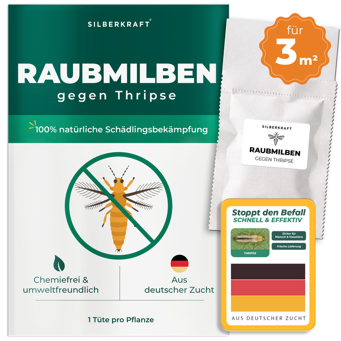 Raubmilben gegen Thripse für 3 m² Pflanzenfläche – Silberkraft