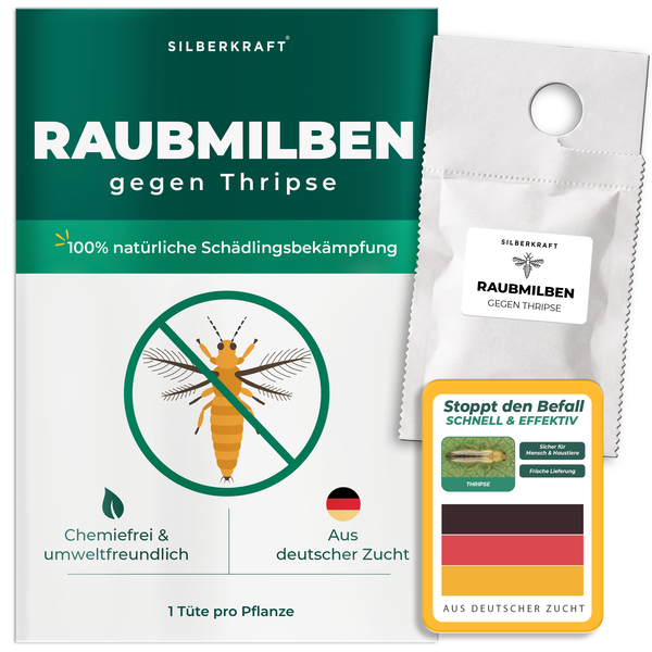 Silberkraft Raubmilben gegen Thripse – biologisches Nützlings-Granulat für Zimmerpflanzen und Gewächshaus