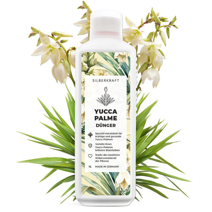 Yucca Dünger - Mineralischer NPK Flüssigdünger mit Stickstoff - Dünger für Yucca Palmen - Palmlilie düngen -  Yucca Rostrata Dünger - Silberkraft