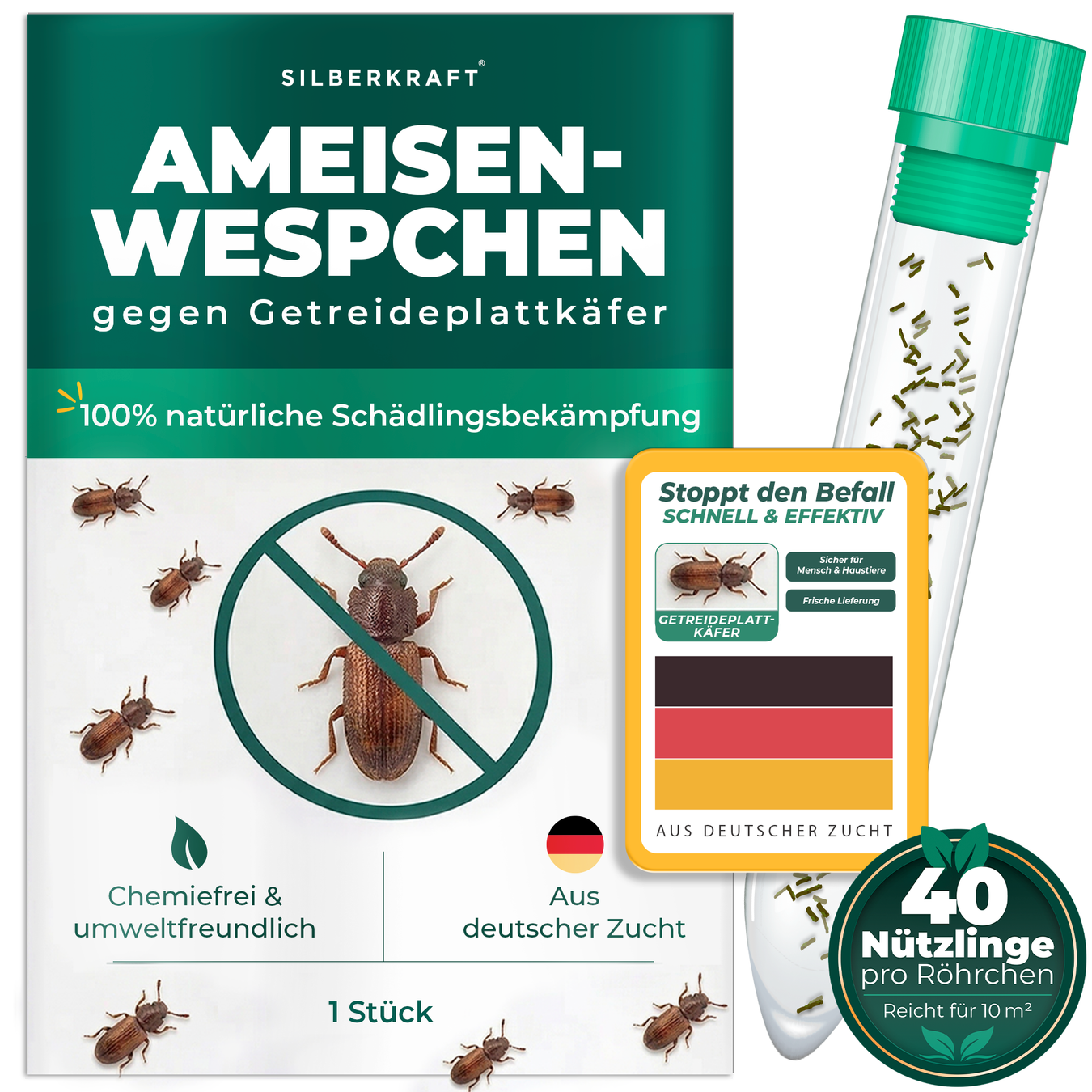 Neu bei Silberkraft
