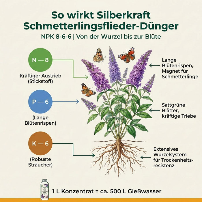 Schmetterlingsflieder-Dünger - info