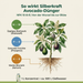 Avocado-Dünger - info