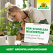 Neudorff Azet GrünpflanzenDünger - Silberkraft