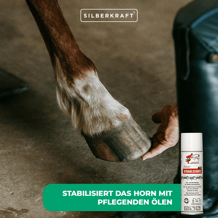 Strahlschutz Spray für robuste Pferdehufen - Silberkraft