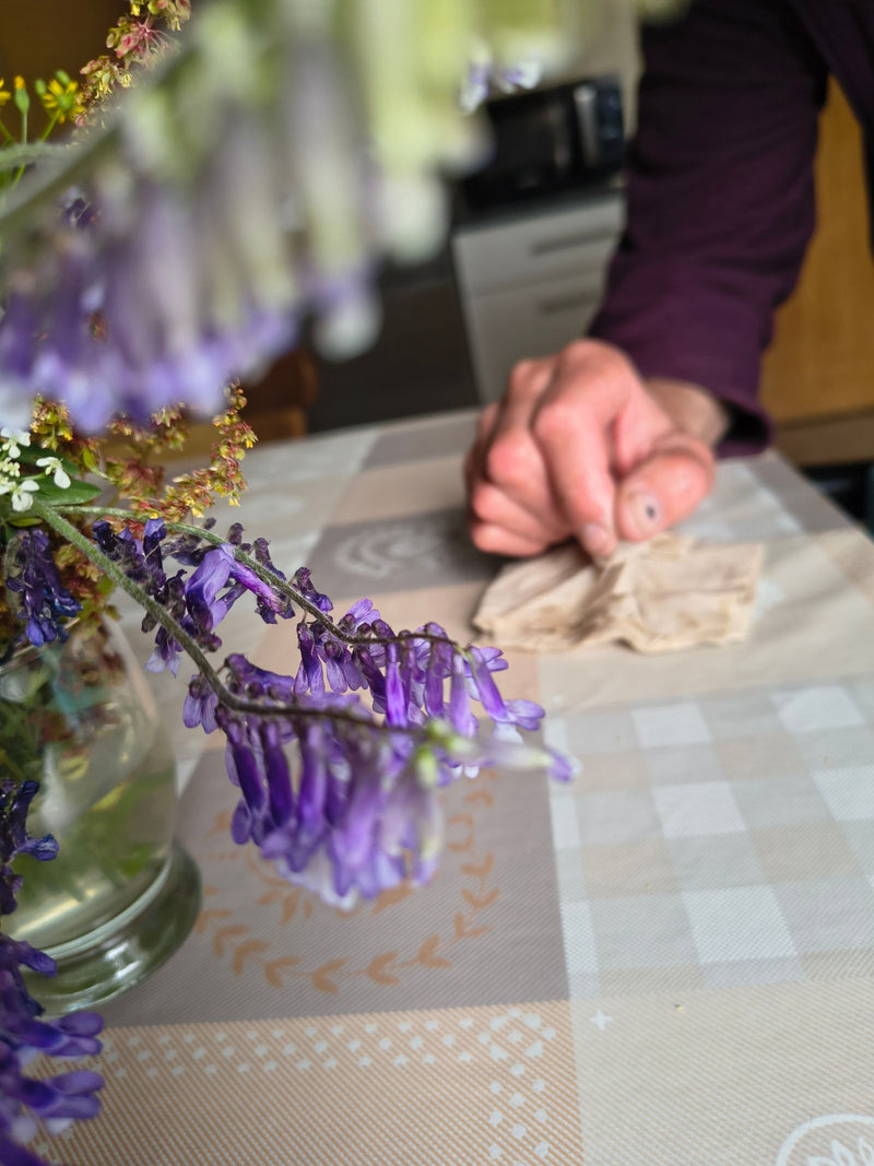 Vogel-Wicke — Bild 5