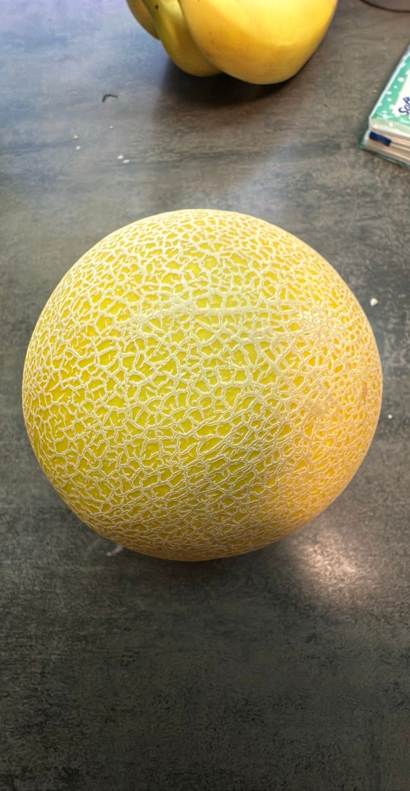Zuckermelone — Bild 1