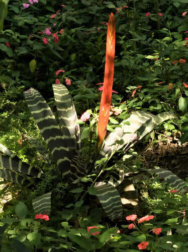 Flammendes Schwert — Bild 4