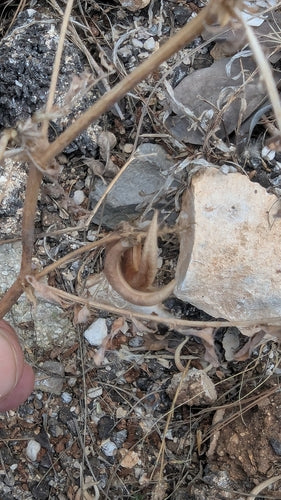 Fliegen — Bild 3 von 31