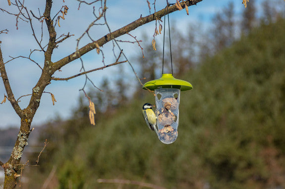 Vogelfutterspender - Multifunktionale Futterstation für die Vogelfütterung - 22 cm - Silberkraft