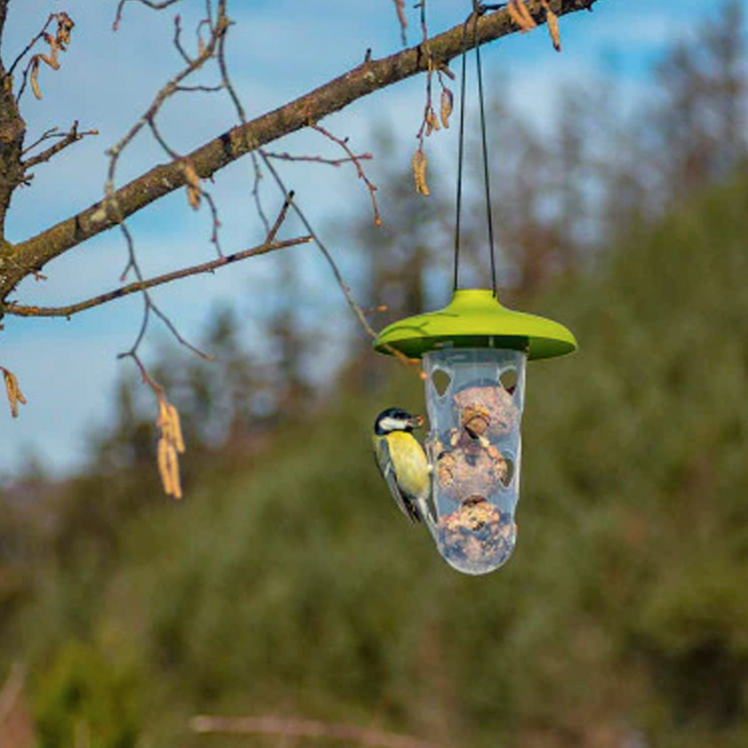 Vogelfutterspender und Vogeltränke - 3-in-1 Set - Multifunktionale Futterstation - 22 cm - Silberkraft